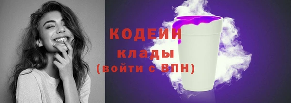прущие грибы Покачи
