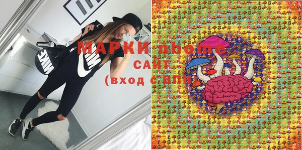 прущие грибы Покачи