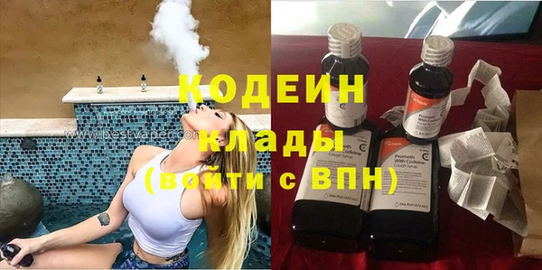 прущие грибы Покачи
