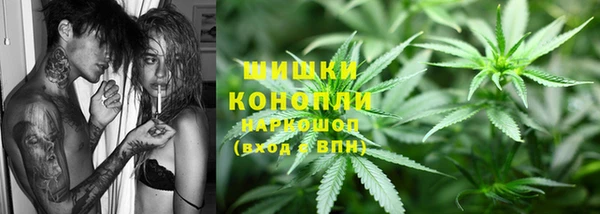 прущие грибы Покачи